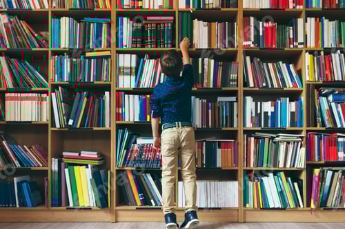 Preview: Boy in library