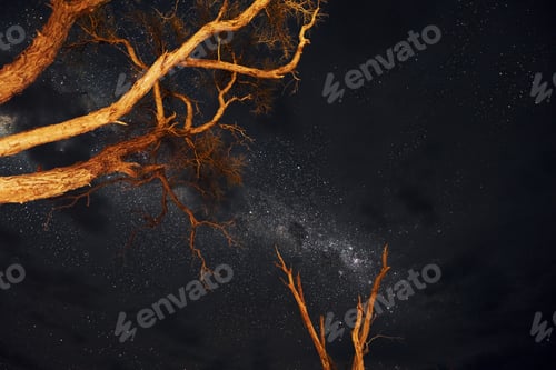 Preview: Under the trees. Majestic view of clear sky with stars and Milky Way in the space