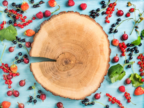 Preview: Healthy summer garden berry variety