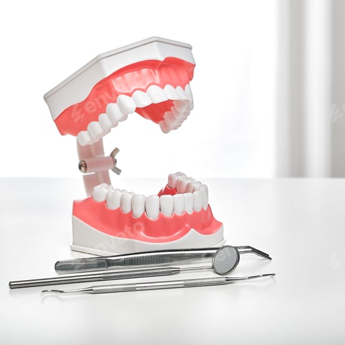 Preview: Stomatology and dental treatment concept. Anatomical model of teeth and medical devices on the