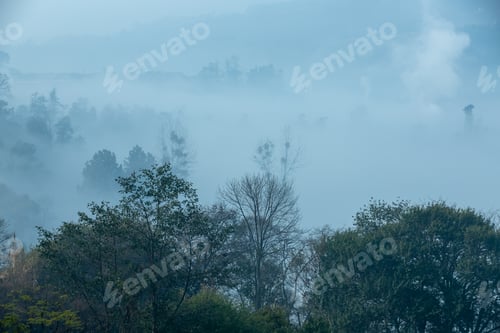 Preview: Foggy