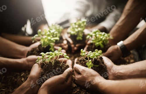 Preview: Cropped shot of a group of people holding plants growing out of soil