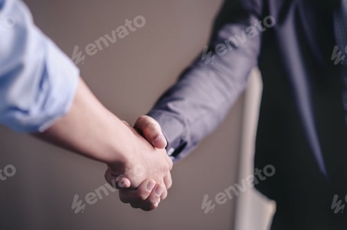 Preview: Business people shaking hands.business and office concept .