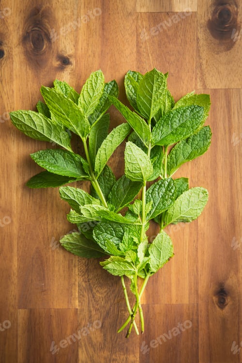 Preview: Branch mint leaves.