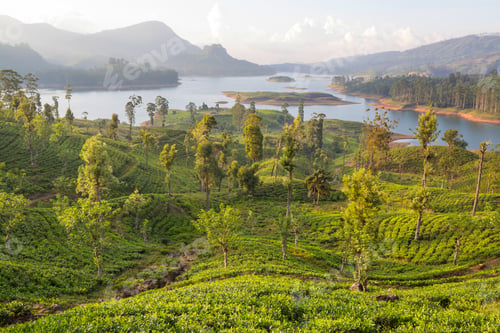 Preview: Lake on Sri Lanka