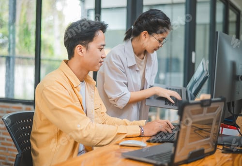 Preview: team programmer focuses on software development, site design