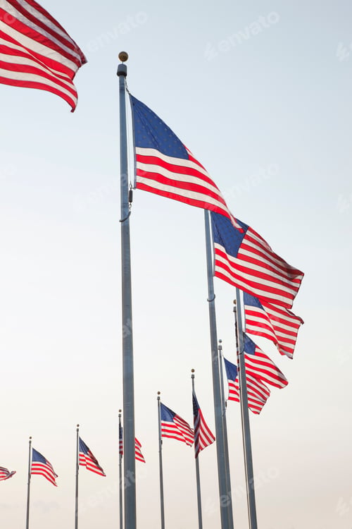 Preview: Flags at the Washington Monument in Washington DC