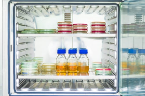 Preview: Agar medium and broth from the microbial test incubate in the incubator in microbial laboratory.
