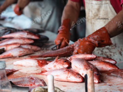 Preview: Closeup of a fish cutter preparing freshly-caught fish on the table