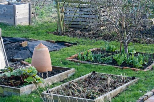 Preview: Allotment gardening in the month of March. View over plots with raised beds. Preparation for Spring
