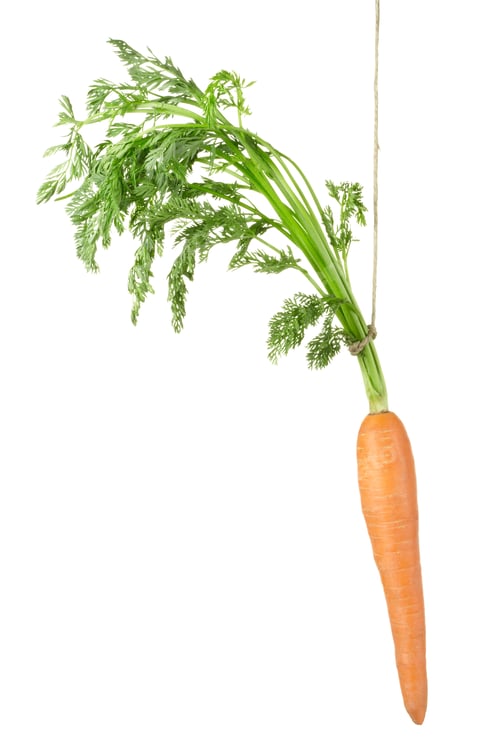 Preview: Carrot dangling isolated on white