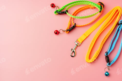 Preview: Textile pet collar on pink background studio photo