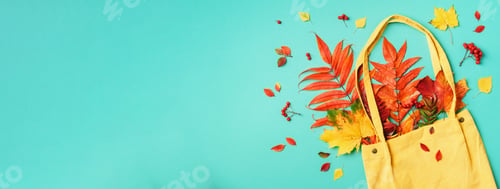 Preview: Autumn flat lay composition. Dry maple autumn leaves in blue shopping bag on yellow background. Top