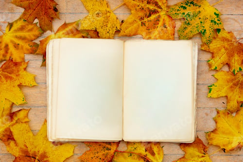 Preview: Old book on a table with yellow maple leaves around.