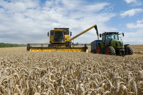 Preview: Combine harvester unloading wheat