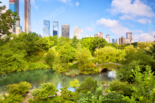 Preview: New York City Manhattan Central Park