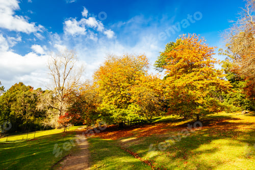 Preview: Maroondah Reservoir Park in Australia