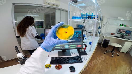 Preview: POV of chemist analysing bacteria culture from petri dish
