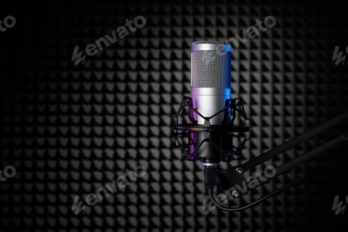 Preview: Professional condenser microphone in the sound recording studio with soundproof wall panel.