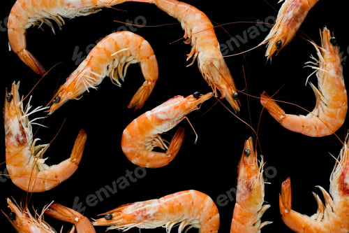 Preview: prawns