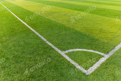 Preview: Soccer field grass