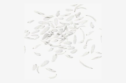 Preview: Floating White Feathers