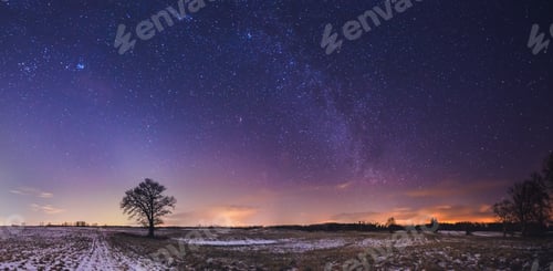 Preview: Landscape of zodiacal light with stars and a tree