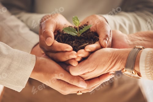 Preview: Ecology, soil and plant with team and hands, solidarity for environment and nature for Earth Day aw