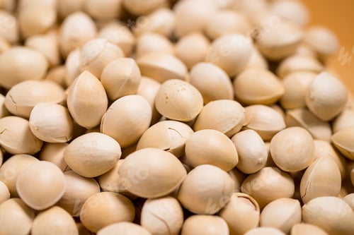 Preview: Fresh ginkgo seed nut close up