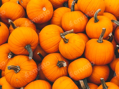 Preview: Pumpkins
