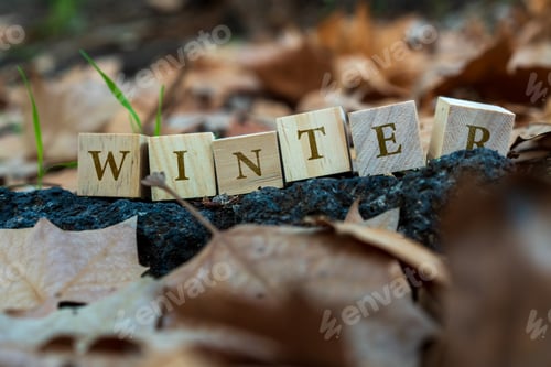 Preview: Winter Blocks on Fallen Leaves Background