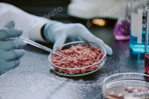 Preview: Researching Lab-Grown Meat Using Scientific Methods