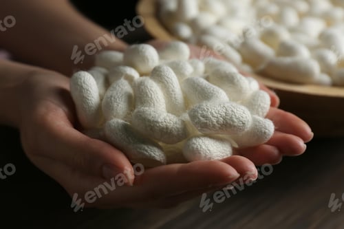 Preview: white silk cocoon, silky, fiber