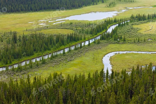 Preview: Marshland river riparian wetland landscape