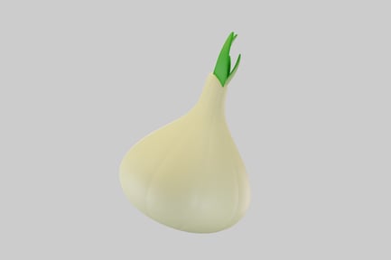 Preview: White onion with green sprout