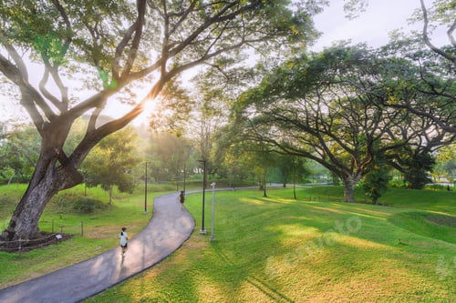 Preview: Scenic Pathway in a Tranquil Urban Park
