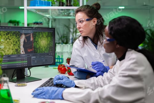 Preview: Multi-ethnic group of biologists analyzing plant based experiment on computer