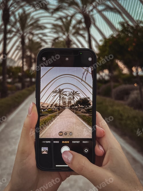 Preview: Palm park