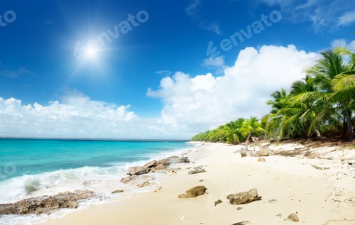 Preview: Beach Of Catalina Island, Dominican Republic