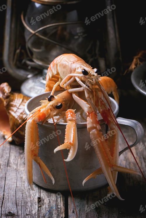 Preview: Langoustines in metal cup