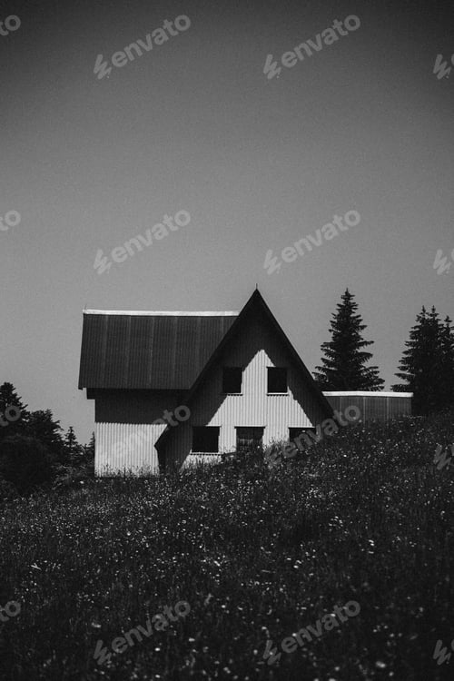 Preview: Forest house surrounded by blooming field