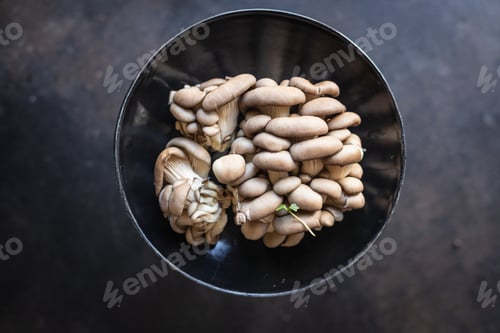 Preview: Fresh Oyster Mushroom Raw Mushrooms Meal Snack Diet Vegan Or Vegetarian Food Copy Space Food