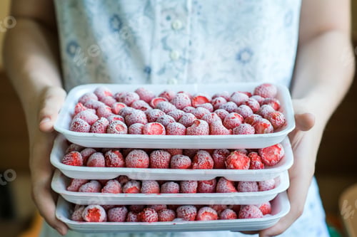 Preview: Frozen strawberries in plastic trays in the hands. Preparations for the winter.