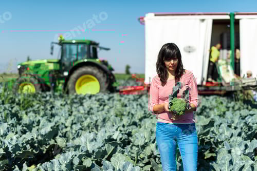 Visualização: 17104