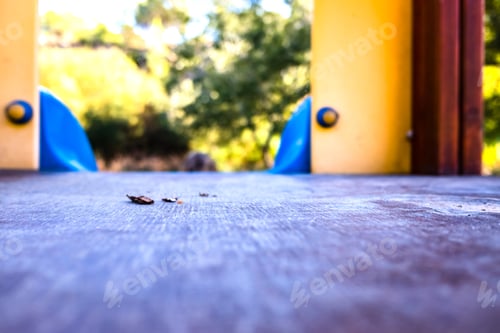 Preview: An abandoned playground, focused on the foreground and blurred background.