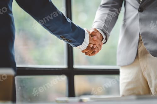 Preview: business partner handshake concept Colleagues shaking hands Successful deal after a great meeting. B