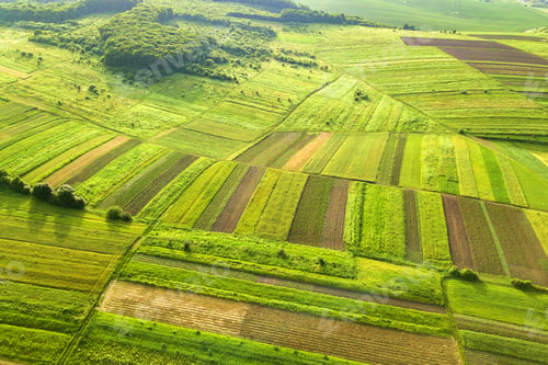 Preview: Aerial view of green agricultural fields in spring with fresh vegetation after seeding season
