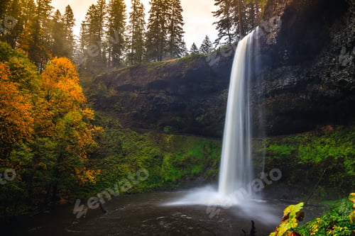 Preview: South Falls View, Silver Falls State Park, Oregon