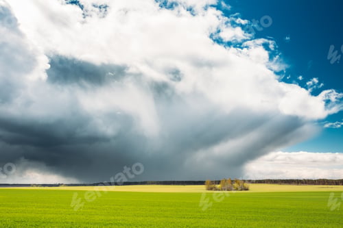 Preview: Field Or Meadow Landscape With Green Grass Under Scenic Spring B