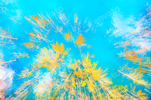 Preview: Aerial view. Birch forest in turquoise water. Lake and tree. Natural scenery in fall time.